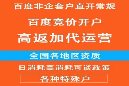 某电商平台的SEM推广策略及效果分析